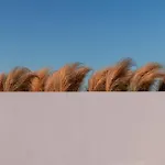 Ośrodek wypoczynkowy Andronis Arcadia Oia