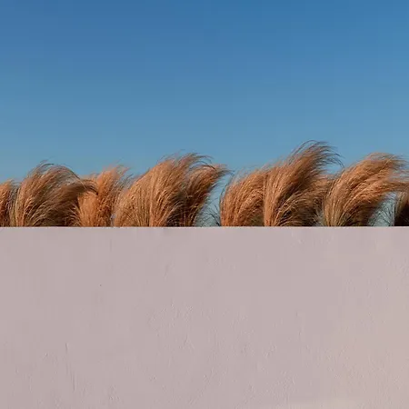 منتجع فندق أندرونيس أركاديا أويا