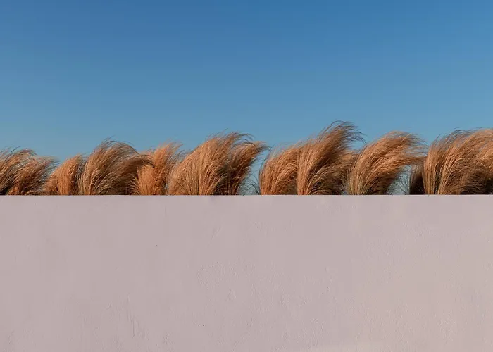 度假村 Andronis Arcadia 伊亚